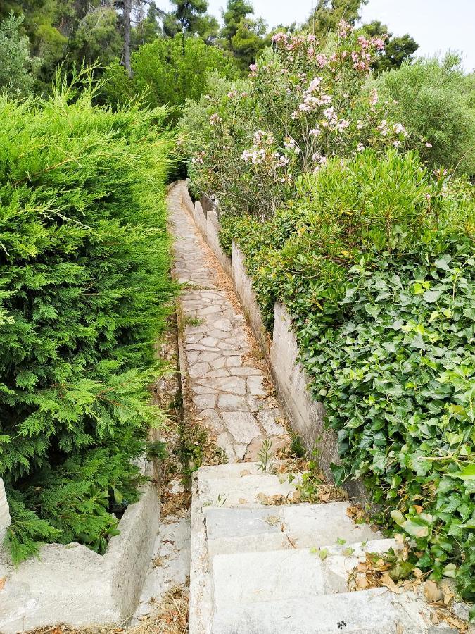 Villa Opali Kassándria Eksteriør bilde